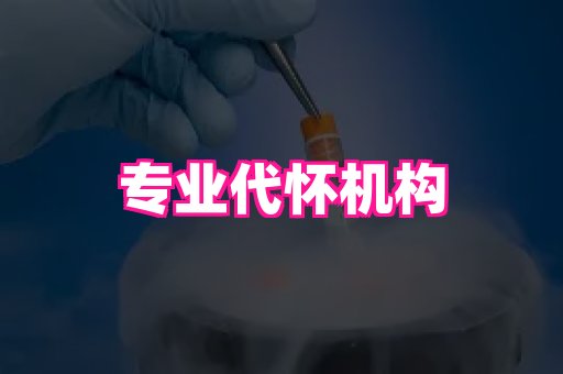 厦门助孕网站 4